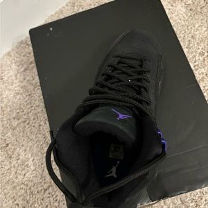 Jordan 12 dark concord